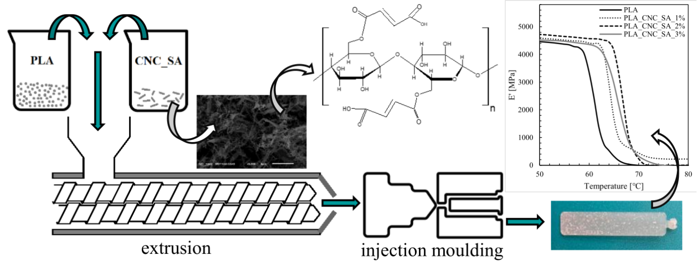 The Application of Cellulose Nanocrystals Modified with Succinic Anhydride under the Microwave Irradiation for Preparation of Polylactic Acid Nanocomposites