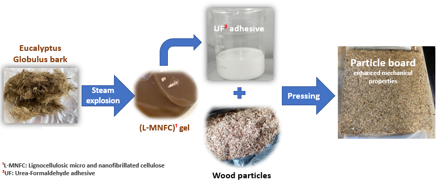 Lignocellulosic Micro and Nanofibrillated Cellulose Produced by Steam Explosion for Wood Adhesive Formulations