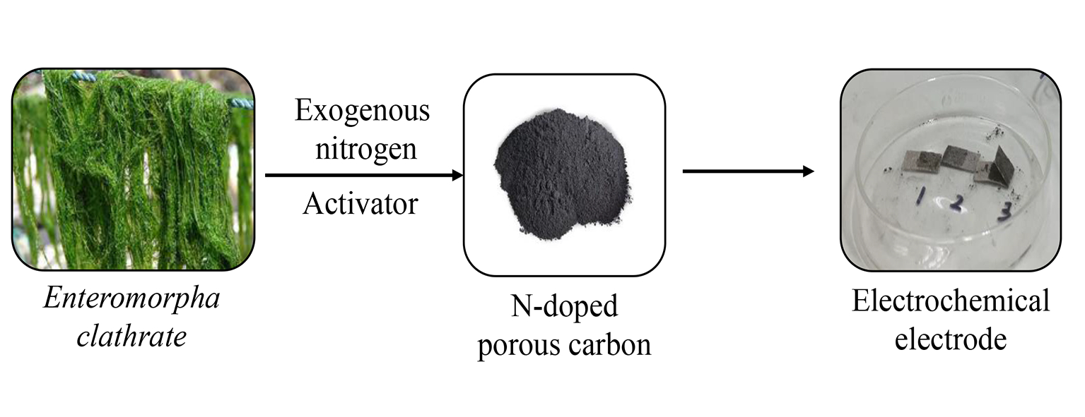 Study on Preparation of Nitrogen-Doped Hierarchically Porous and High-Performance Carbon Materials from Seaweed Biomass