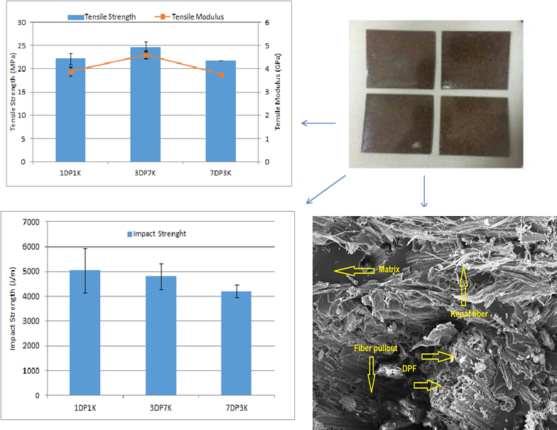Fiber Loading of Date Palm and Kenaf Reinforced Epoxy Composites: Tensile, Impact and Morphological Properties