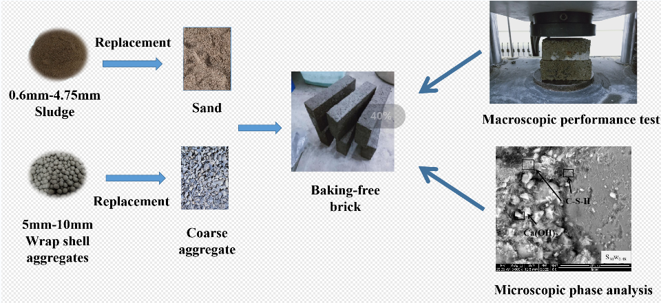 Study on Mechanical Properties and Action Mechanism of Leather Industrial Sludge Aggregate Baking-Free Bricks