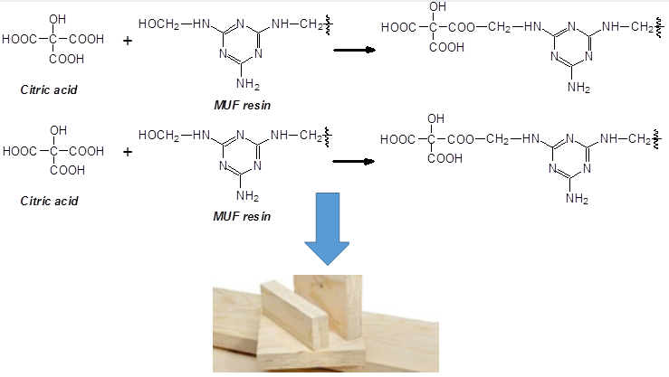 MUF Resins Improved by Citric Acid as Adhesives for Wood Veneer Panels