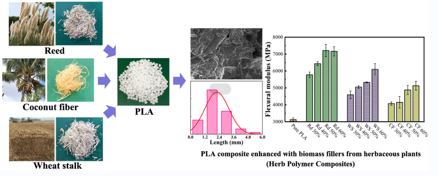 Structure and Properties of PLA Composite Enhanced with Biomass Fillers from Herbaceous Plants