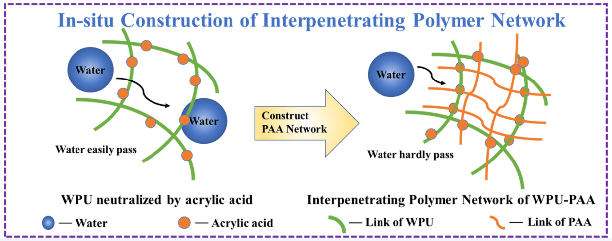 High Water Resistance and Enhanced Mechanical Properties of Bio-Based Waterborne Polyurethane Enabled by <i>in-situ</i> Construction of Interpenetrating Polymer Network