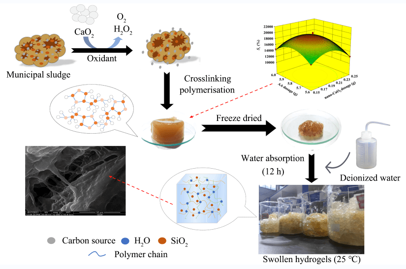 Nano-CaO<sub>2</sub> Promotes the Release of Carbon Sources from Municipal Sludge and the Preparation of Double-Network Hydrogels with High Swelling Ratios